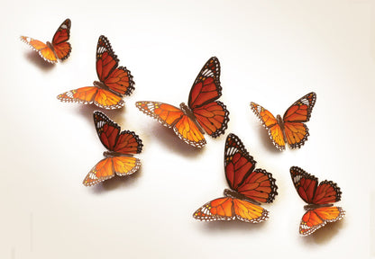 Paper Monarch Butterflies for Wall Decoration: Set of 24