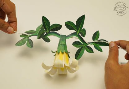 White Paper Flower Fairy Lights (10 flowers)